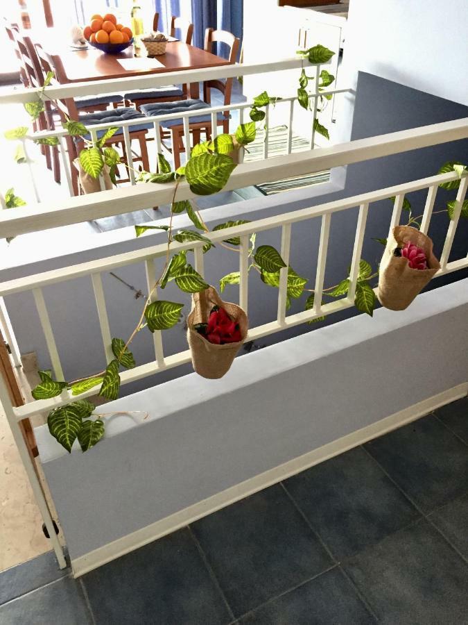 勒托阳尼Light Blue House公寓 外观 照片